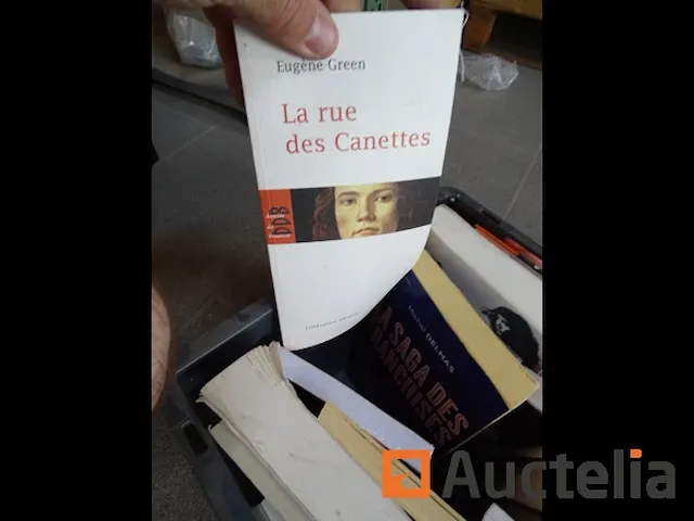 Boek case verschillend (romans,..) - afbeelding 14 van  26