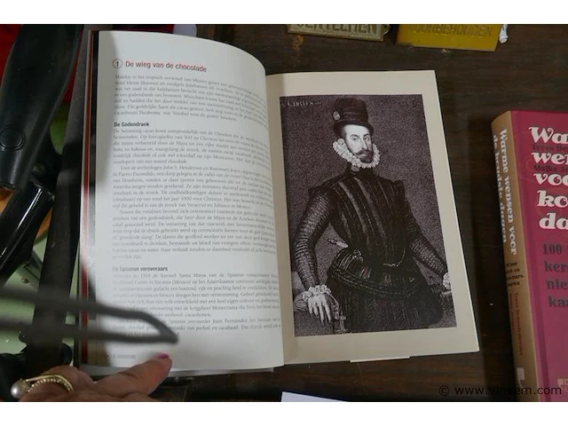 Boek - afbeelding 3 van  3