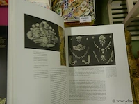 Boek - afbeelding 2 van  3