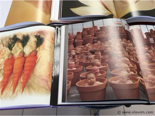 Boeken anne geddes 4stuks - afbeelding 5 van  5