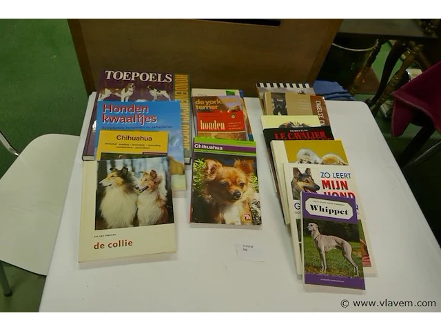 Boeken - afbeelding 1 van  1