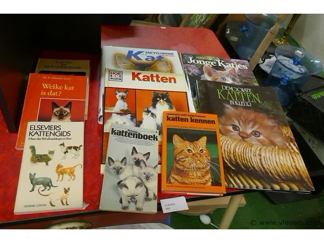 Boeken - afbeelding 1 van  1