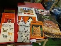 Boeken - afbeelding 1 van  1