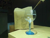 Bol gin glas op voet (72x)
