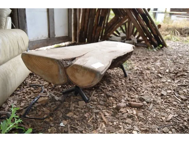 Boomstam salontafel, stenen tuinbeeld - afbeelding 1 van  7