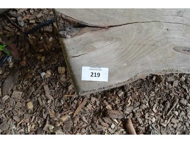 Boomstam salontafel, stenen tuinbeeld - afbeelding 2 van  7