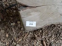 Boomstam salontafel, stenen tuinbeeld - afbeelding 2 van  7