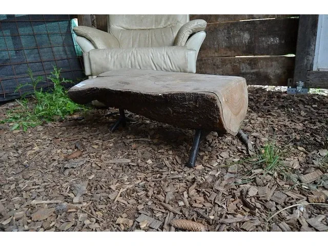 Boomstam salontafel, stenen tuinbeeld - afbeelding 4 van  7