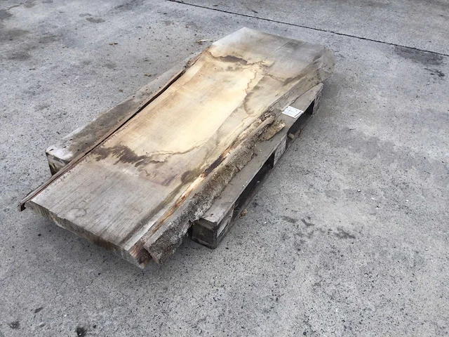 Boomstam tafelblad 1850 x 450 x 50 mm - afbeelding 1 van  6