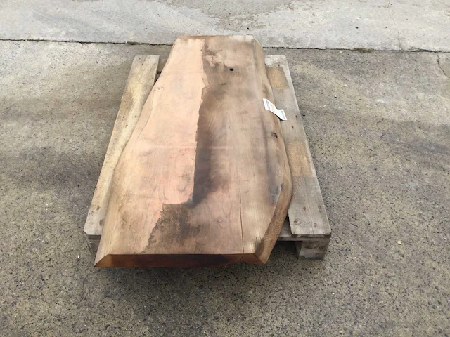 Boomstam tafelblad mammoet 1430 x 500 x 60 mm - afbeelding 2 van  5