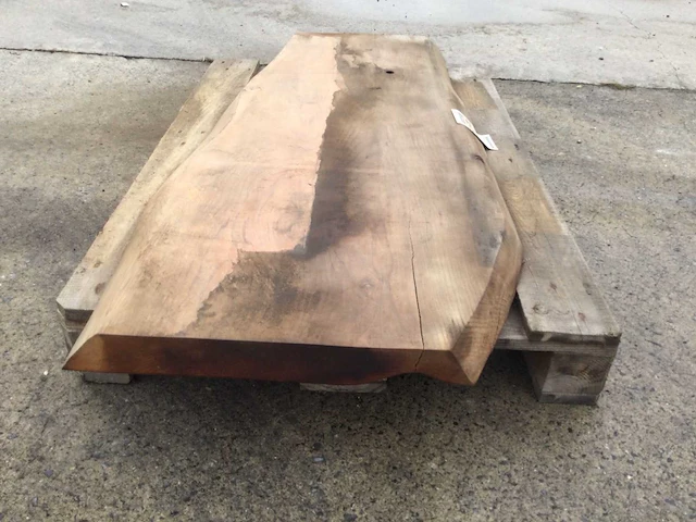 Boomstam tafelblad mammoet 1430 x 500 x 60 mm - afbeelding 3 van  5
