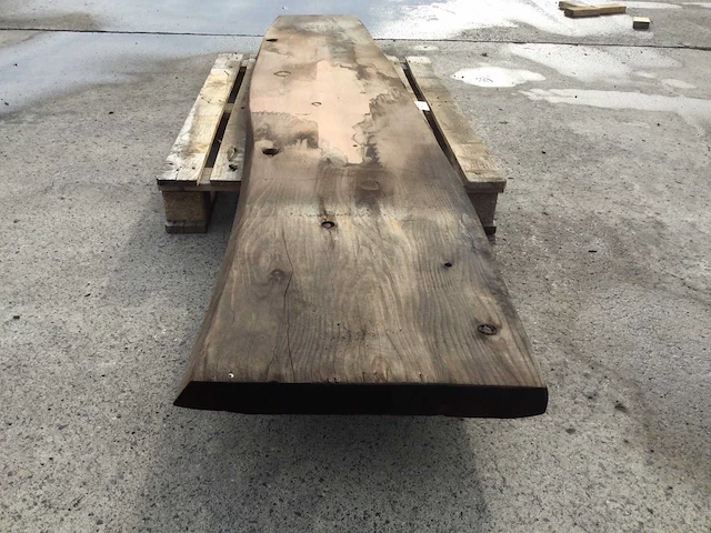 Boomstam tafelblad mammoet 2420 x 450 x 50 mm - afbeelding 3 van  5