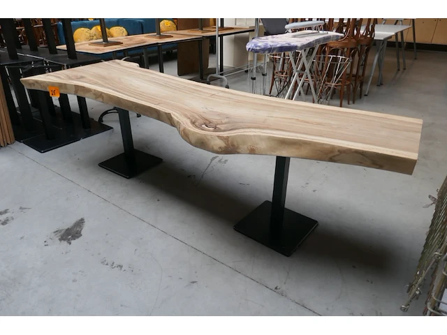 Boomstamtafel - afbeelding 2 van  4