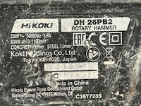 Boorhamer hikoki - afbeelding 5 van  6