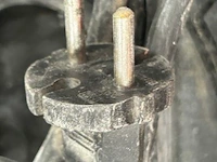Boorhamer hikoki - afbeelding 6 van  6