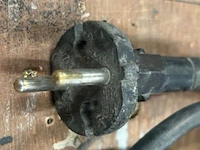 Boorhamer hikoki - afbeelding 6 van  6