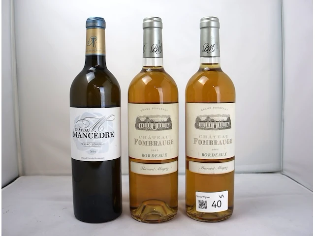 Bordeaux château fombrauge & chateau mancèdre (x3) - afbeelding 1 van  4