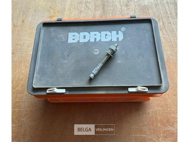 Borgh doorsteekanker - afbeelding 1 van  2
