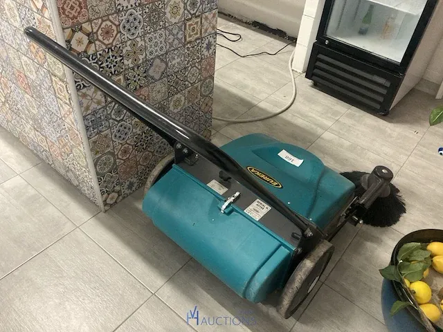 Borstelmachine eureka - afbeelding 3 van  4