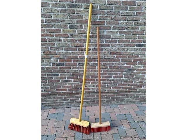 Borstels 2 stuks - afbeelding 1 van  2