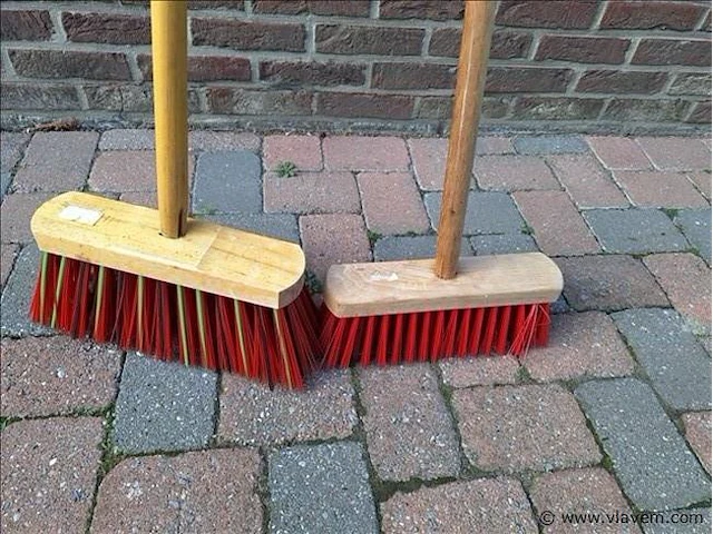 Borstels 2 stuks - afbeelding 2 van  2