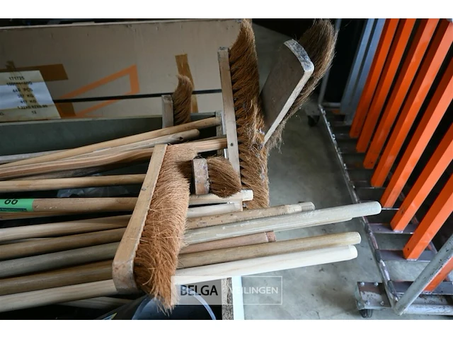 Borstels - afbeelding 2 van  6