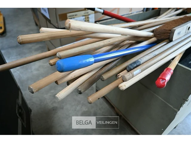 Borstels - afbeelding 4 van  6