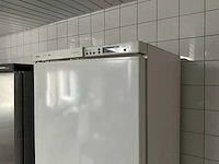 Bosch gsl 3601/34 vriezer - afbeelding 3 van  5