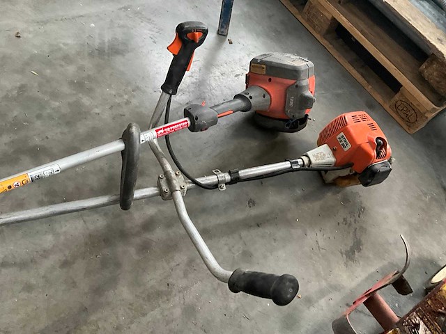 Bosmaaier (2x) - afbeelding 1 van  7