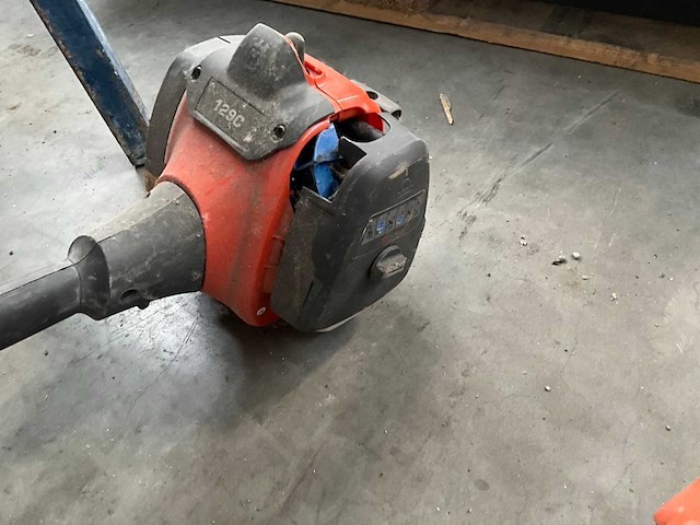 Bosmaaier (2x) - afbeelding 5 van  7