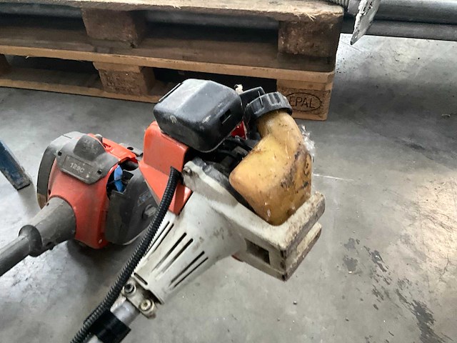 Bosmaaier (2x) - afbeelding 6 van  7