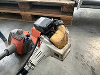 Bosmaaier (2x) - afbeelding 6 van  7