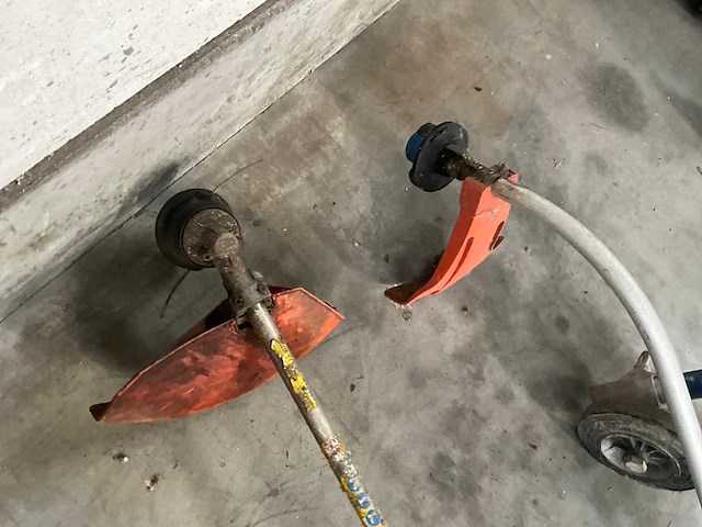 Bosmaaier (2x) - afbeelding 7 van  7