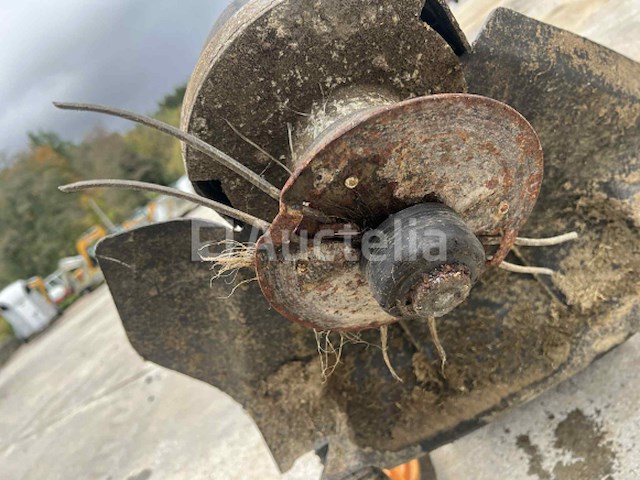 Bosmaaier / maaier - afbeelding 3 van  6