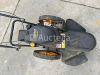 Bosmaaier / maaier - afbeelding 4 van  6