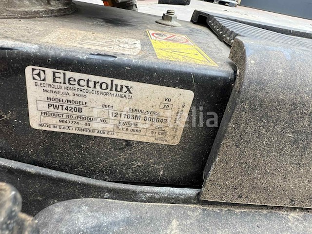 Bosmaaier / maaier - afbeelding 6 van  6