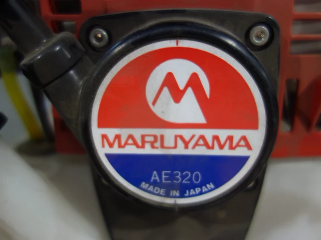 Bosmaaier maruyama - afbeelding 5 van  6