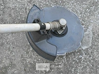 Bosmaaier met schijf - afbeelding 3 van  3