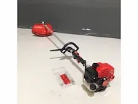 Bosmaaier nieuw