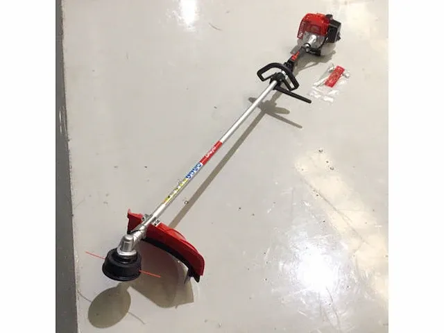 Bosmaaier nieuw - afbeelding 2 van  8