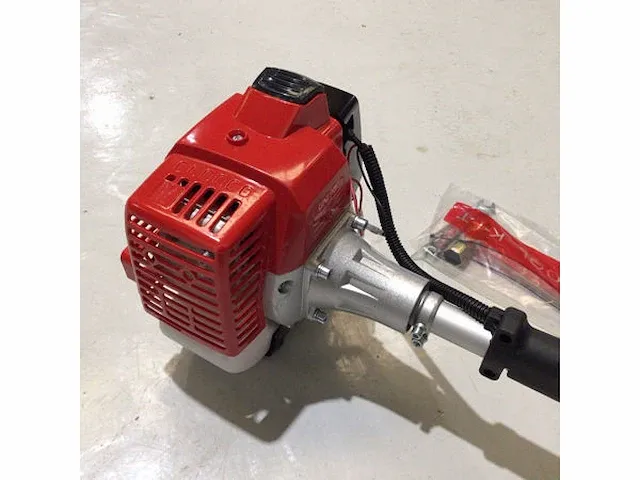 Bosmaaier nieuw - afbeelding 4 van  8