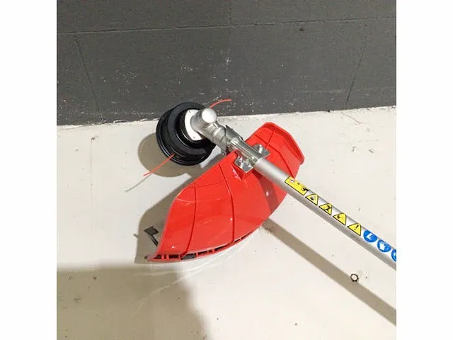 Bosmaaier nieuw - afbeelding 6 van  8