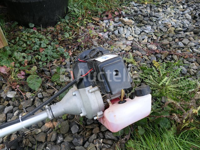 Bosmaaier op benzine + elektrische kantensnijder - afbeelding 8 van  12