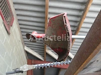 Bosmaaier - afbeelding 5 van  7