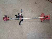 Bosmaaier - afbeelding 1 van  3