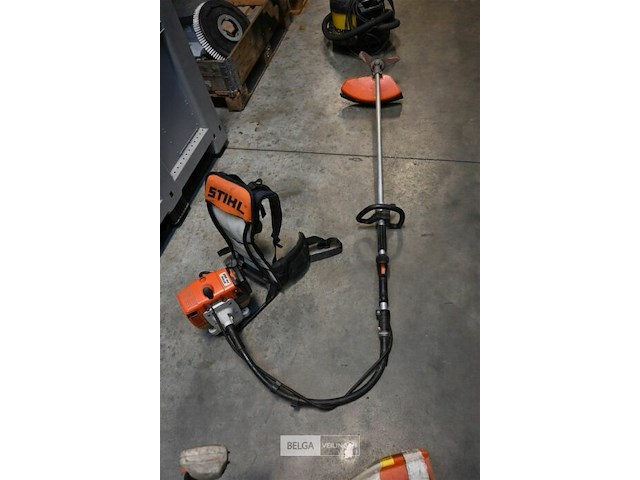 Bosmaaier - afbeelding 1 van  4