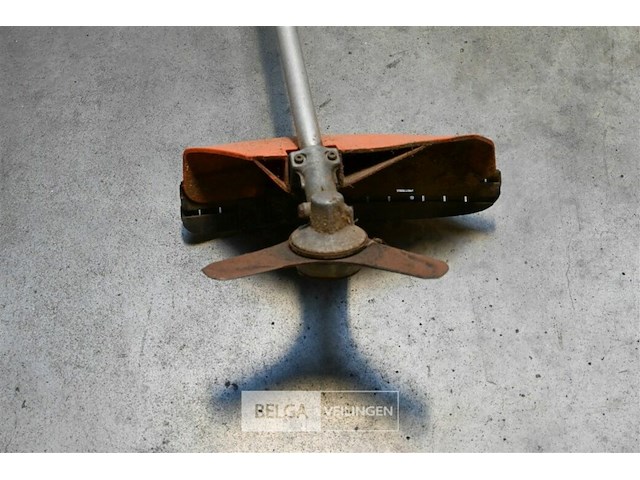 Bosmaaier - afbeelding 2 van  4