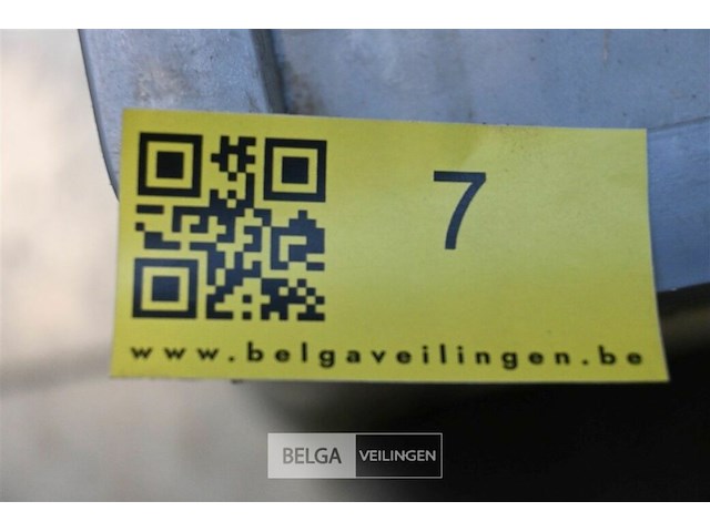 Bosmaaier - afbeelding 4 van  4