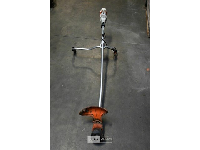 Bosmaaier - afbeelding 1 van  2