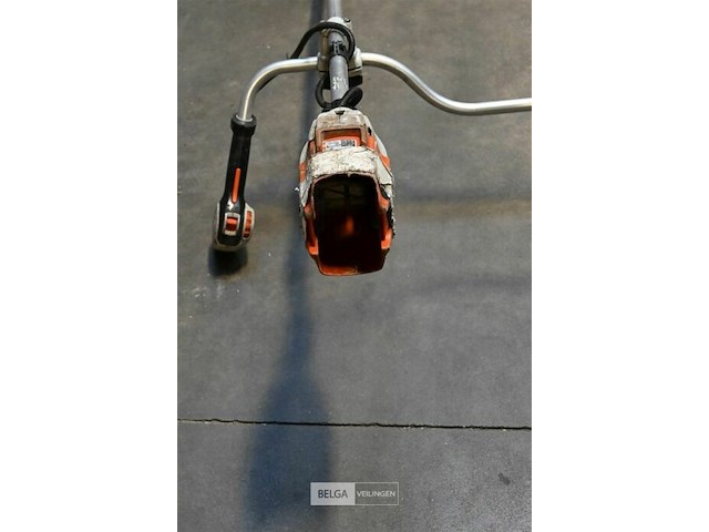 Bosmaaier - afbeelding 2 van  2